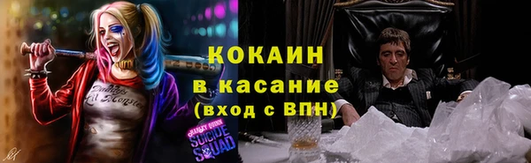 крисы Мегион