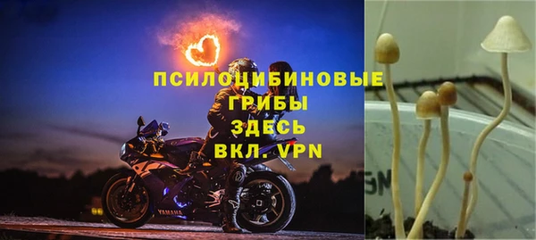 прущий лед Медногорск