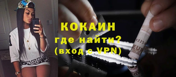 крисы Мегион