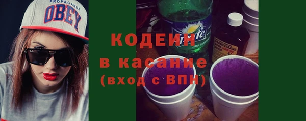 крисы Мегион