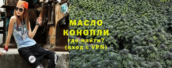 крисы Мегион