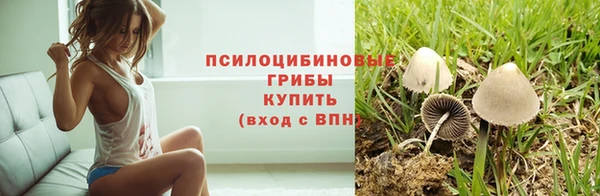крисы Мегион