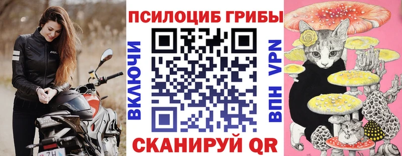 Псилоцибиновые грибы Psilocybine cubensis  Дятьково 