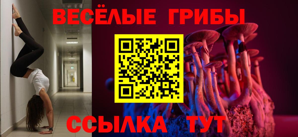 Псилоцибиновые грибы мухоморы  Вход с VPN  Дятьково  Галлюциногенные грибы MAGIC MUSHROOMS 